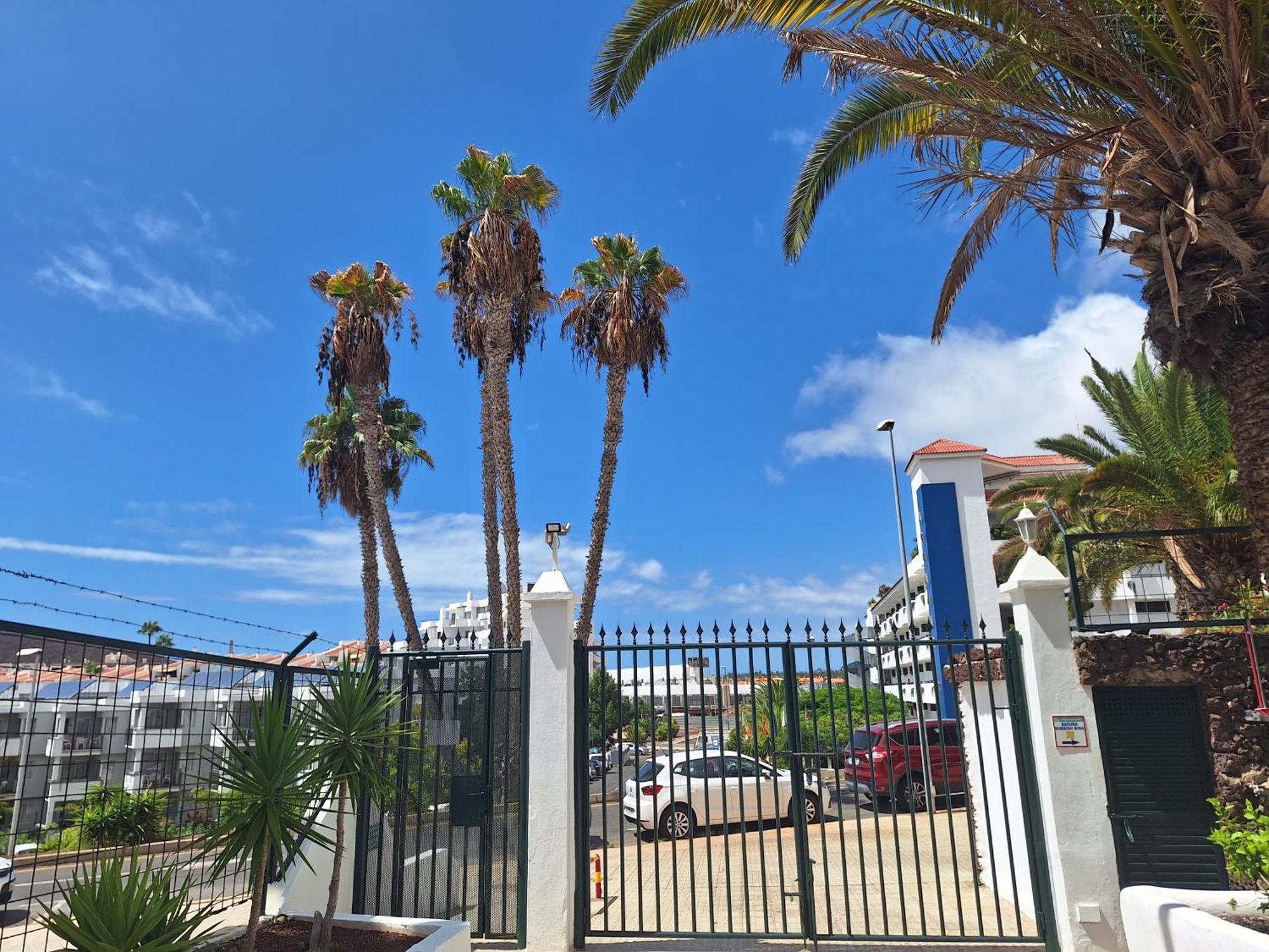 Parque Margarita, Terraza Vista Piscina Appartement Los Cristianos  Buitenkant foto