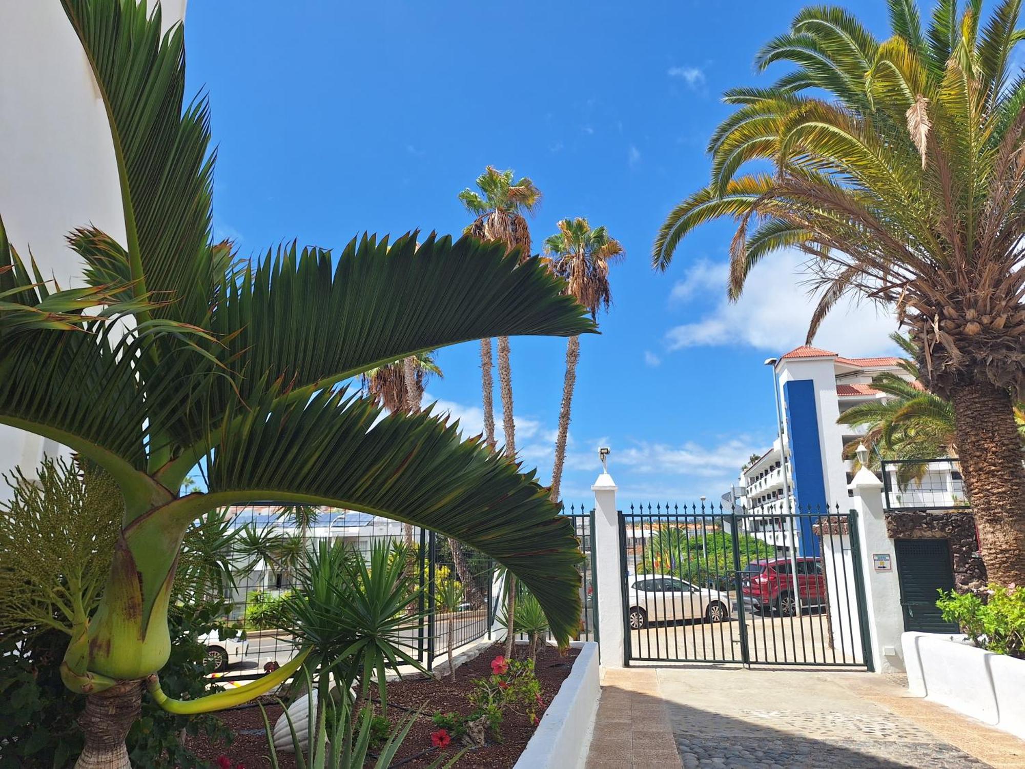 Parque Margarita, Terraza Vista Piscina Appartement Los Cristianos  Buitenkant foto